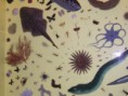 Biología como ciencia de la vida
